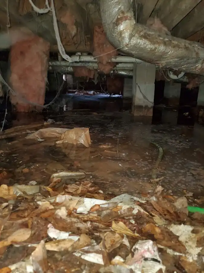Crawl space flood assessment for Commercial Water Damage Restoration in Doffing